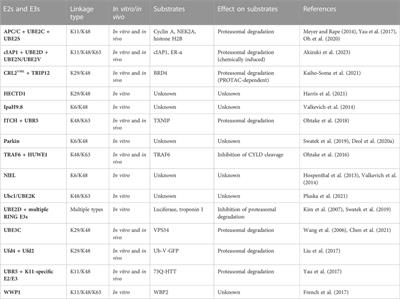 Assembly and disassembly of branched ubiquitin chains